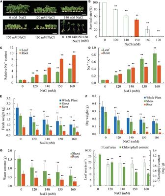 A Putative Plasma Membrane Na+/H+ Antiporter GmSOS1 Is Critical for Salt Stress Tolerance in Glycine max